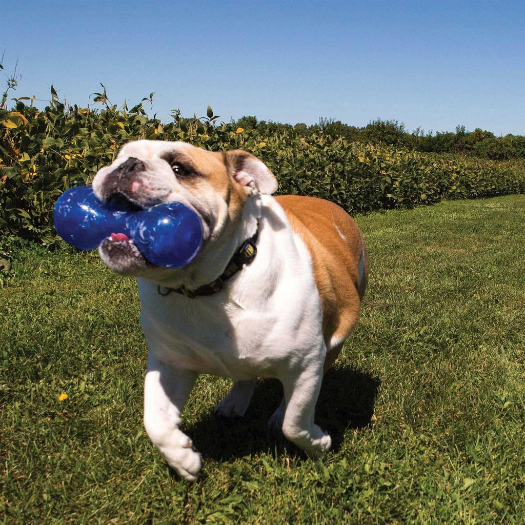 Dog Toy K462508