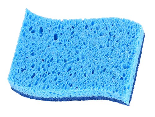 Cellulose Sponge R615