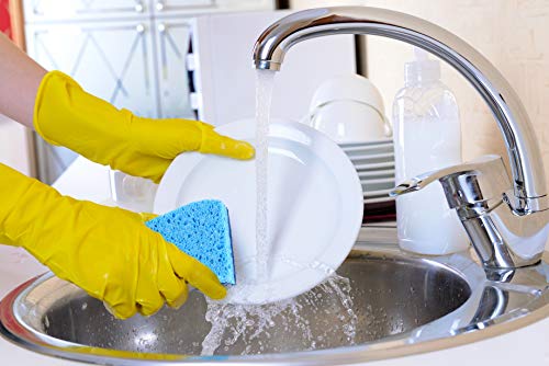 Cellulose Sponge R615