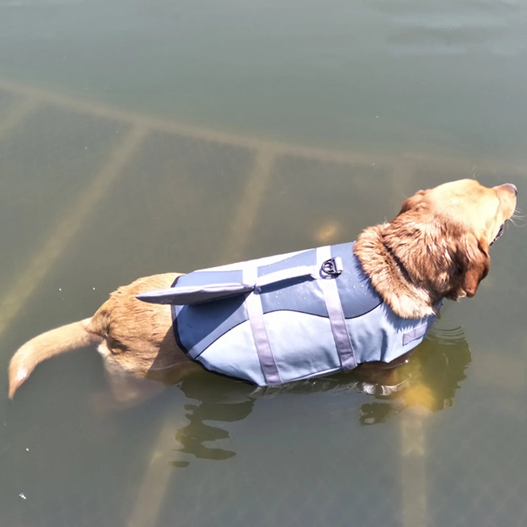 Lifejackets A574802