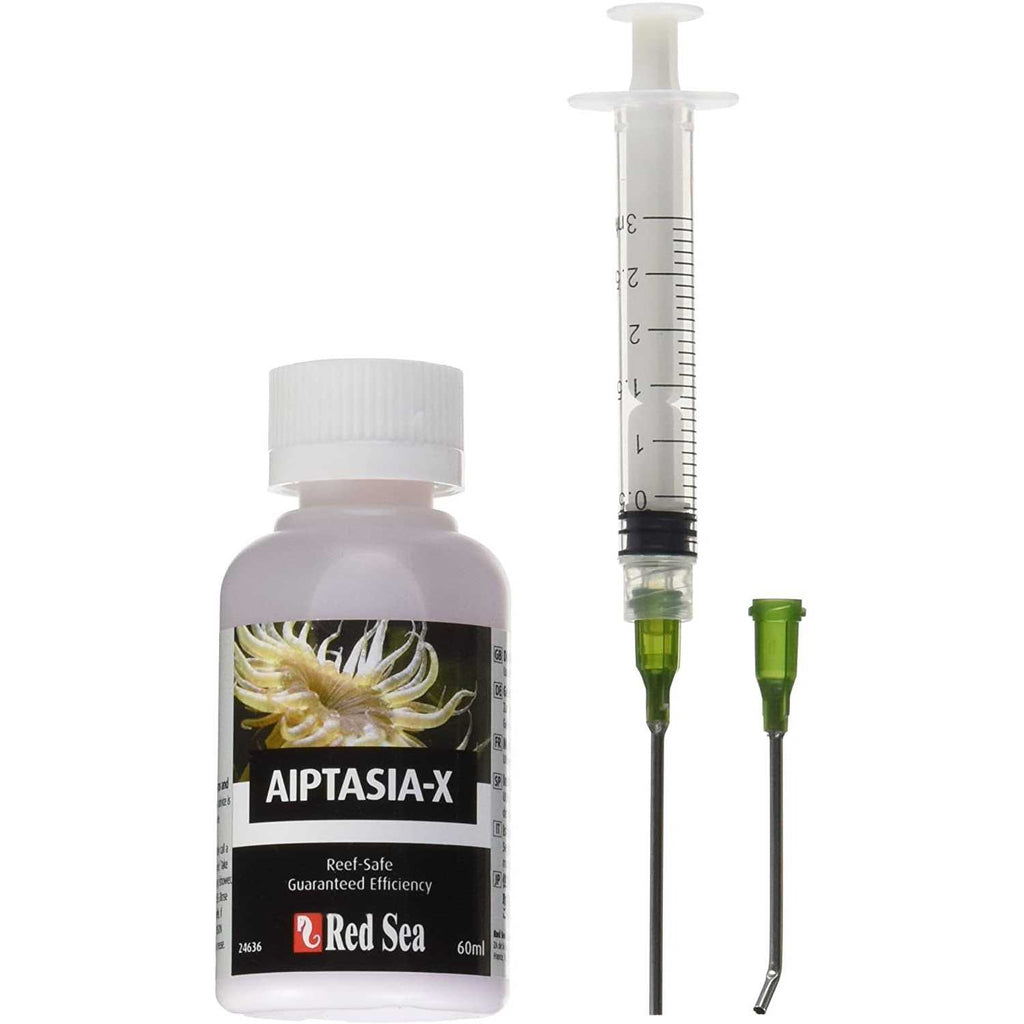 Aiptasia X X70341
