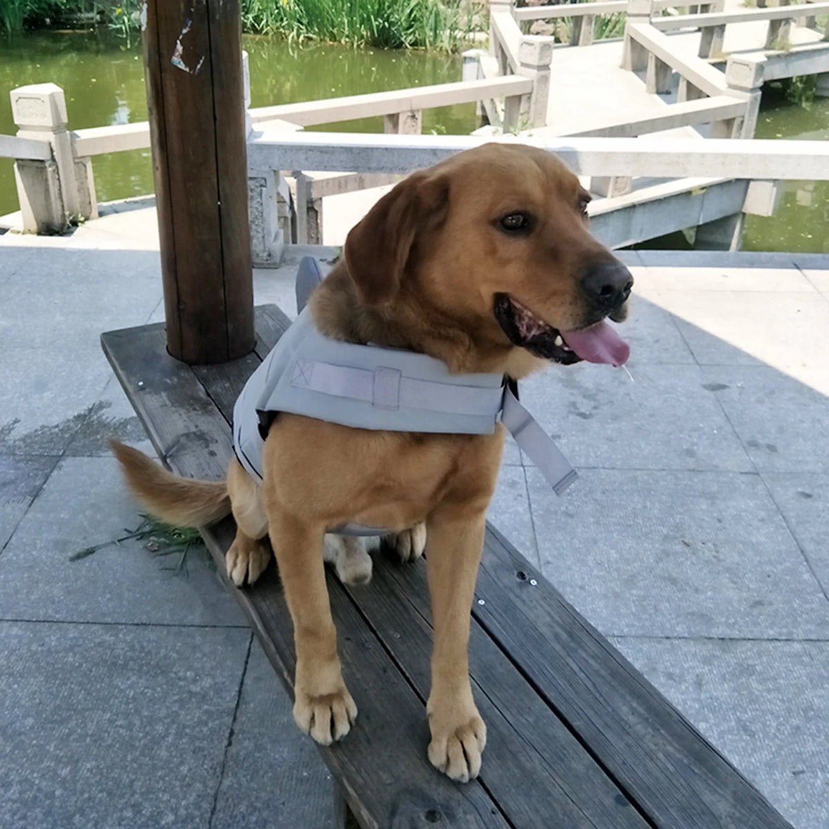 Lifejackets A574802