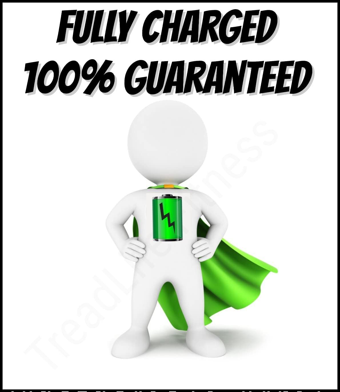 Replacement Battery Compatible with LifeFitness 9500HR Ellipticals Pack of 2 G4216
