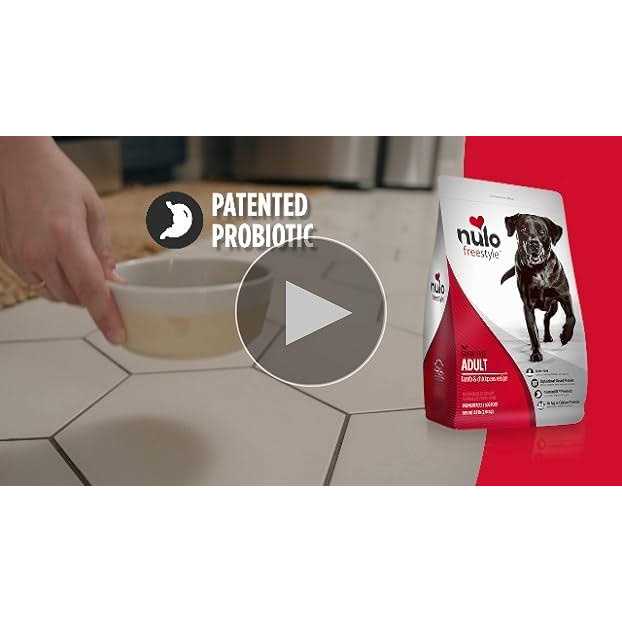 Grain-Free Turkey & Sweet Potato Recipe Dry Dog Food A94828