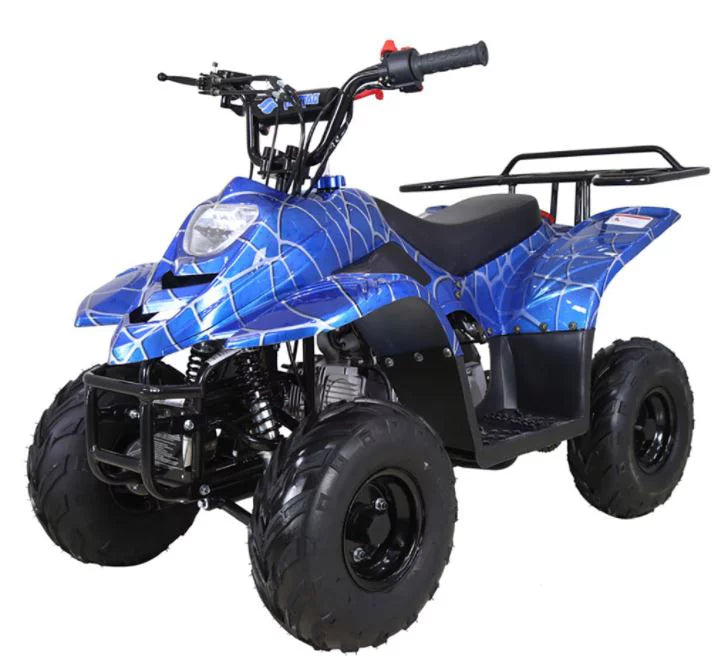 110cc Air Cool Single Cylinder ATV K2191