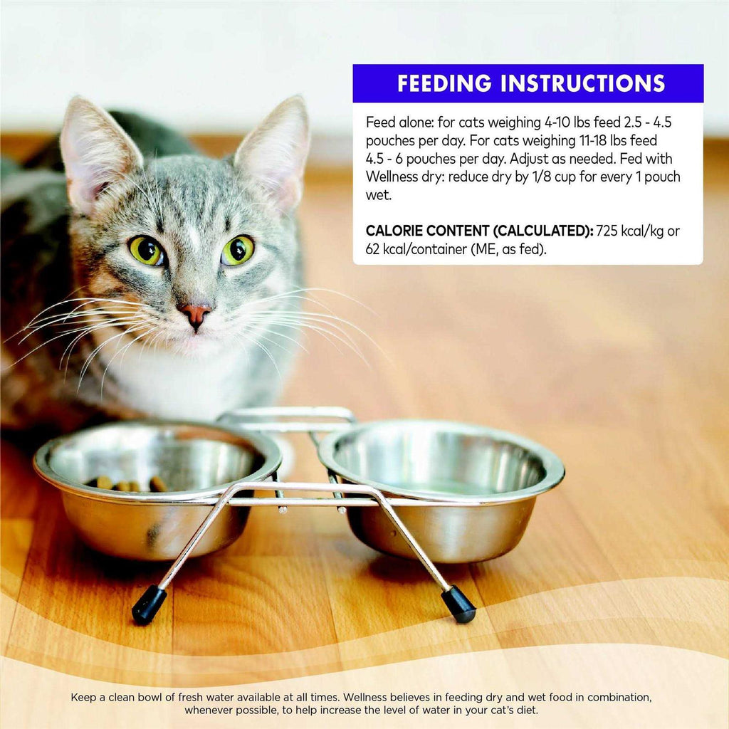 Cat Food Z668