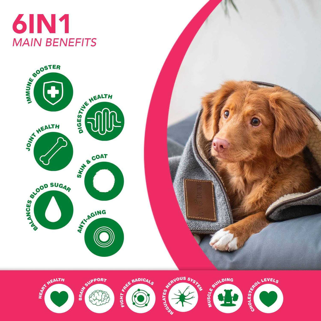 Multivitamin Superfood Dog Supplement X26025