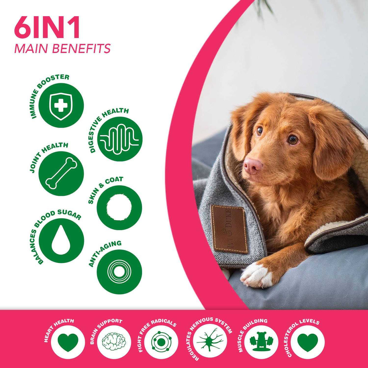 Multivitamin Superfood Dog Supplement X26025