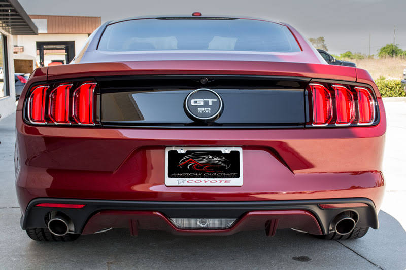 Custom License Plate Frame L5694