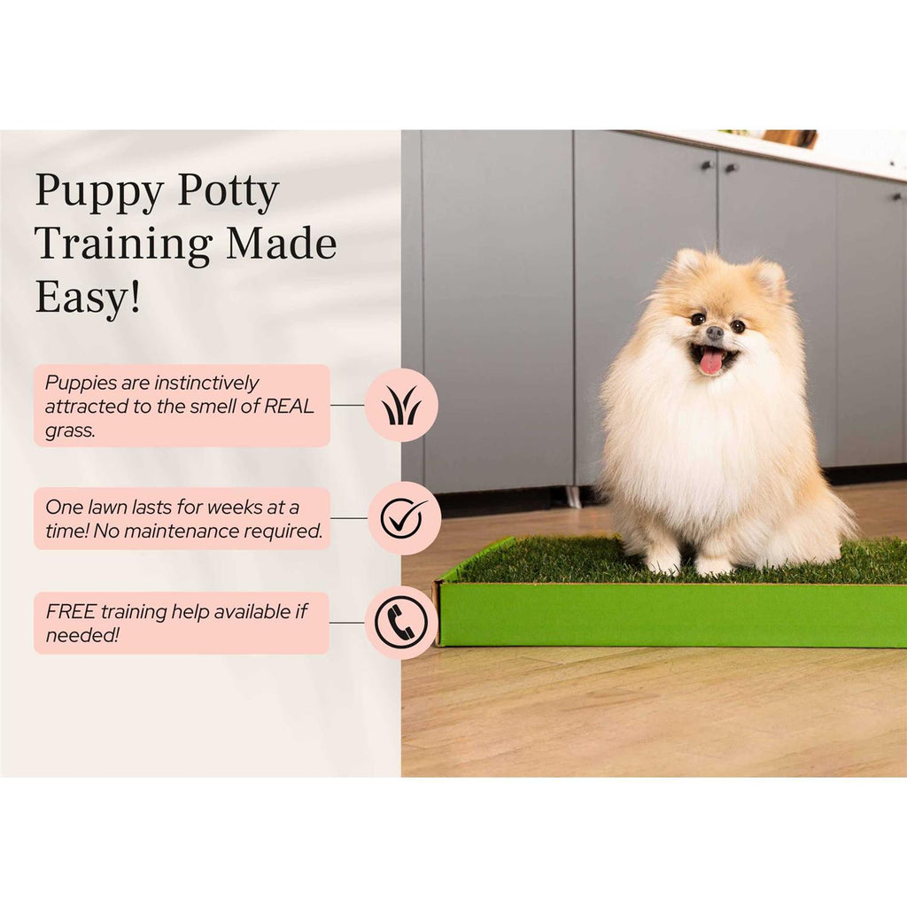 Real Grass Puppy Pee Pads K1778