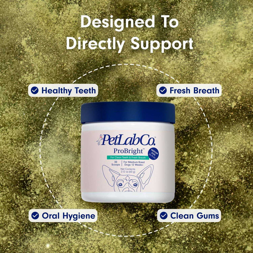 ProBright Dog Dental Powder T840864