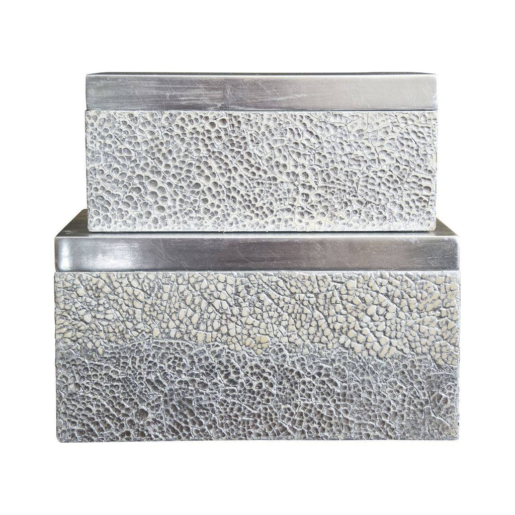 Silver Rectangular Boxes, Set of 2 Z590