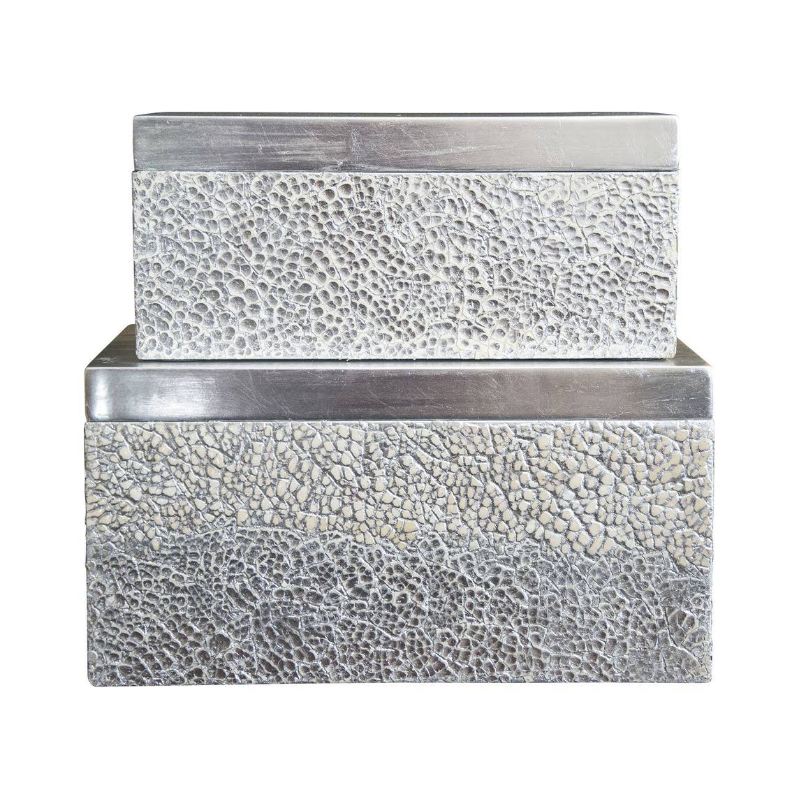 Silver Rectangular Boxes, Set of 2 Z590