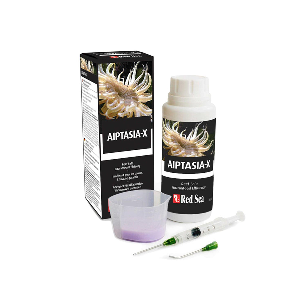 Aiptasia X X70341