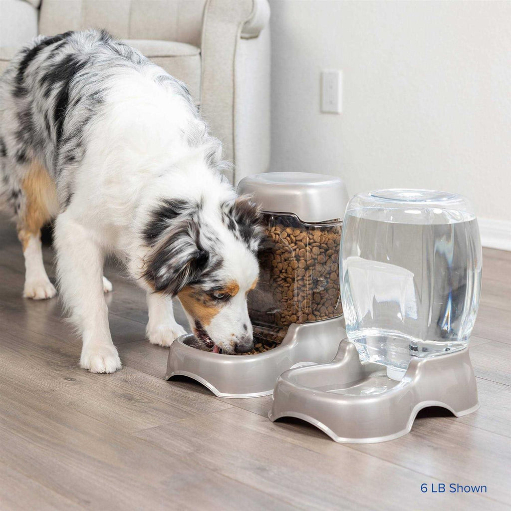 Pet Feeder A574890