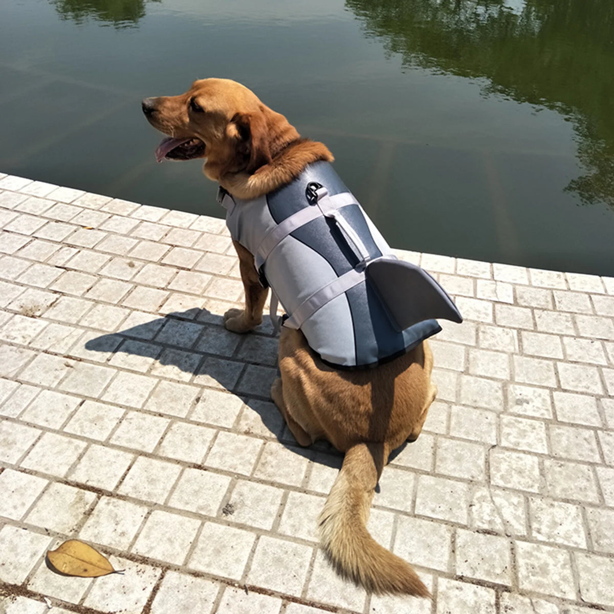 Lifejackets A574802