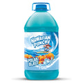 1 gal Hawaiian Punch Juice Drink R358626