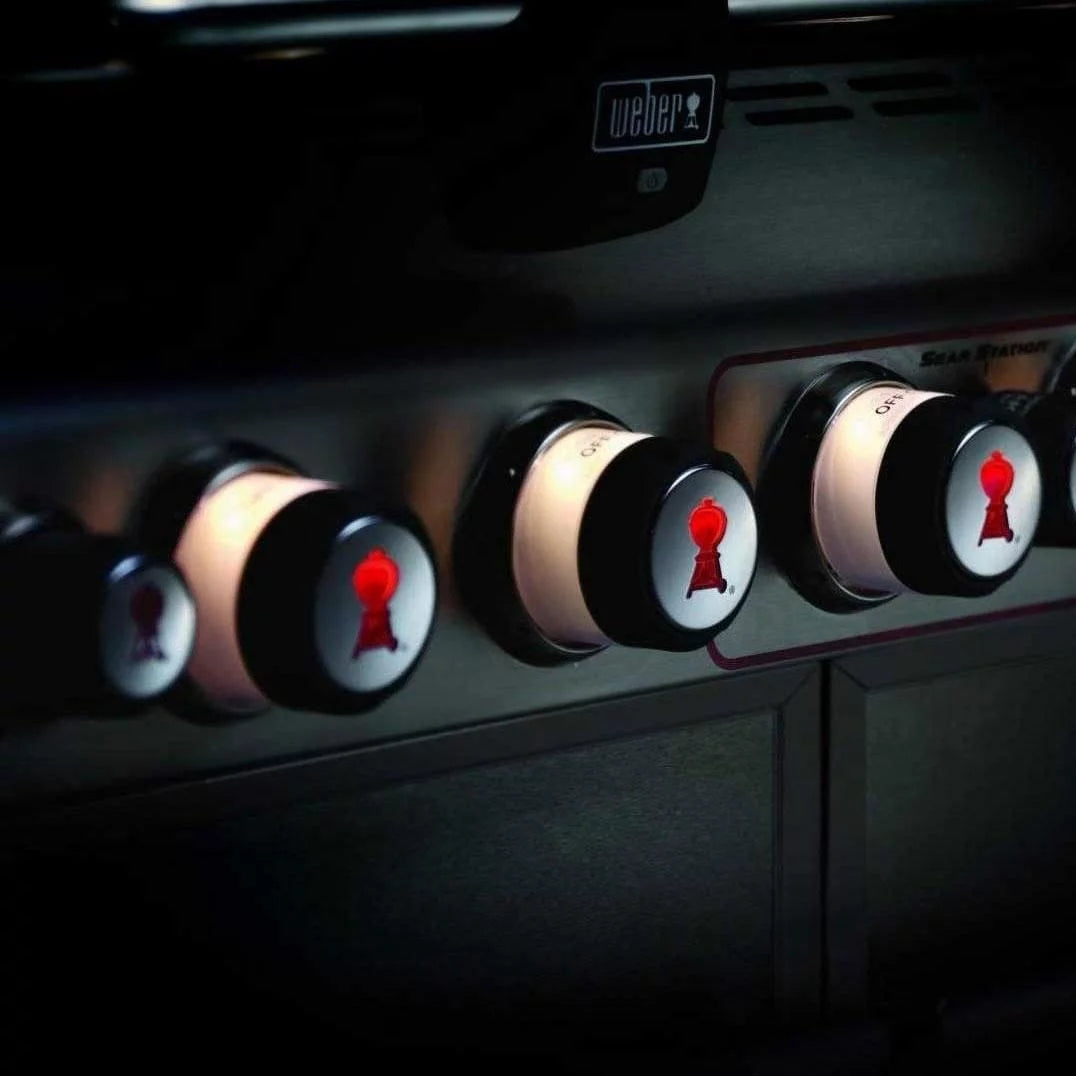 Gas Grill O233
