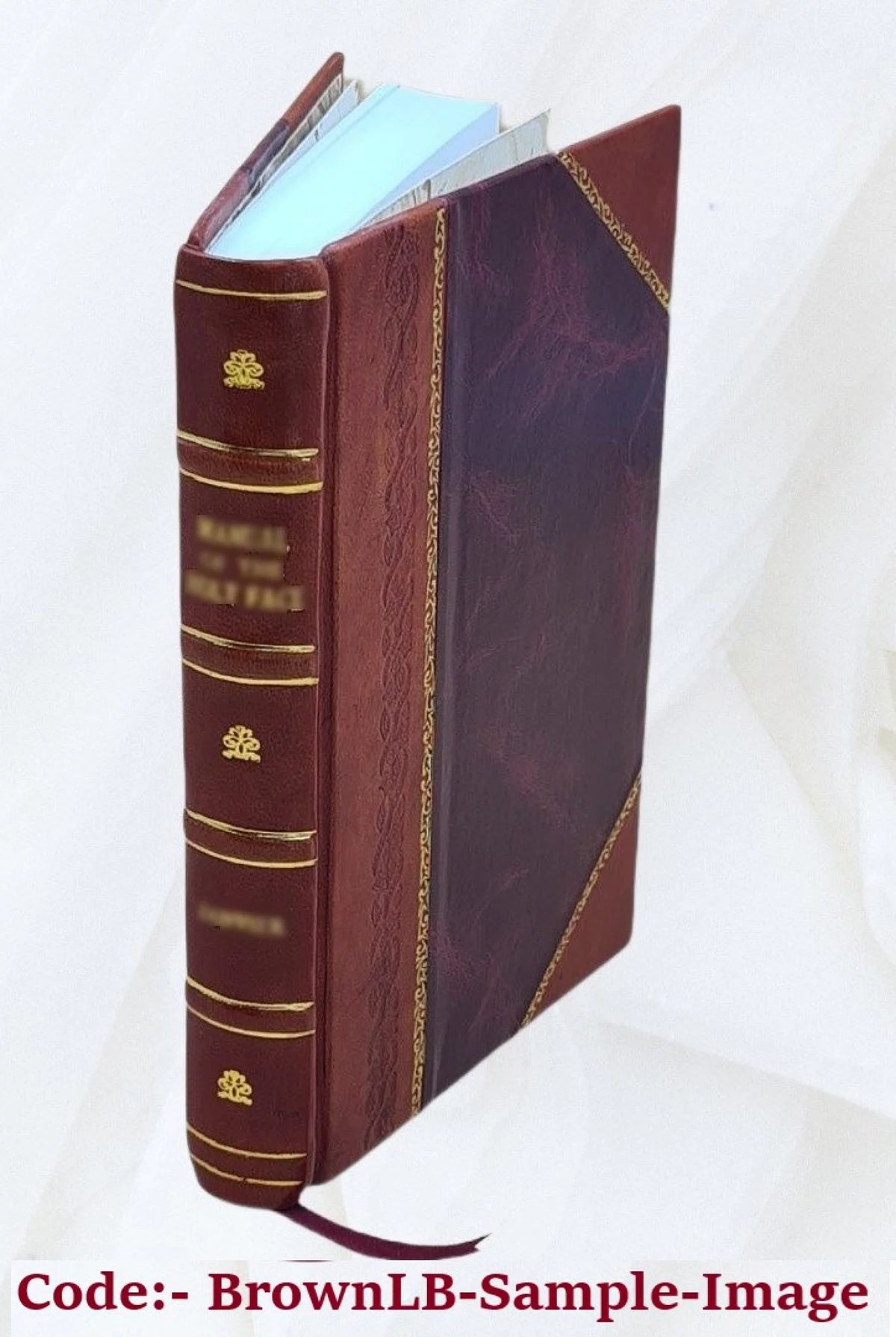 La baraonda: romanzo Leather Bound R49048