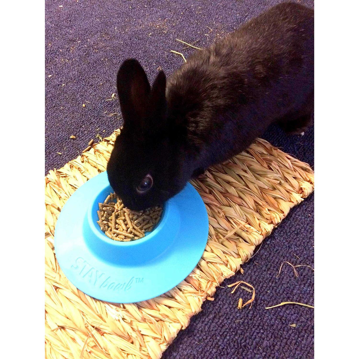 Tip-Proof Bowl for Guinea Pigs and Small Pets T22921