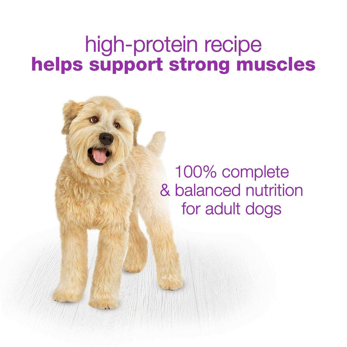 With Chicken Carrots Peas & Wild Rice Wet Dog Food J995