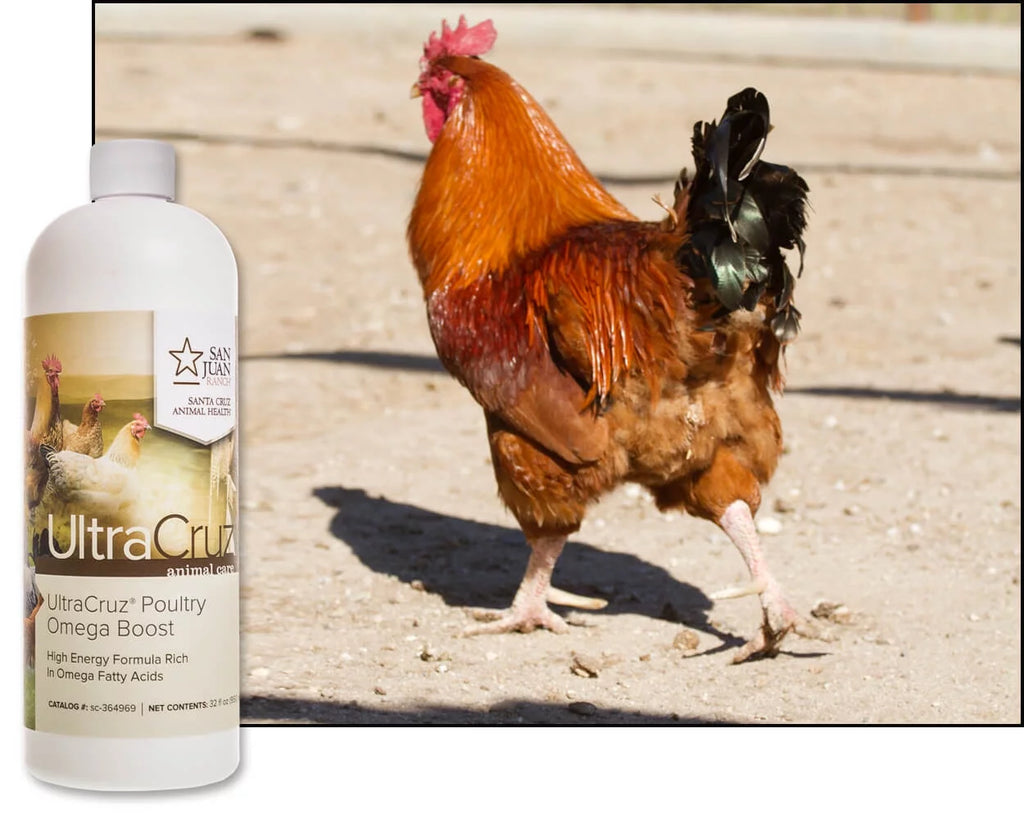 Poultry Supplement 32 oz K7713