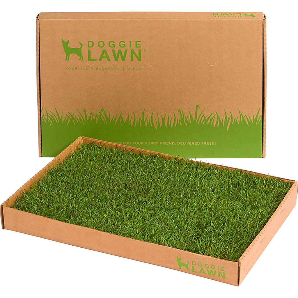 Real Grass Puppy Pee Pads K1778