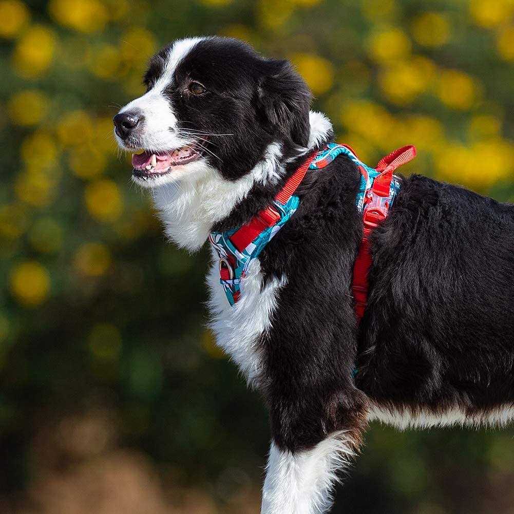 No Pull Dog Harness with Quick-Release Neck Strap C279970